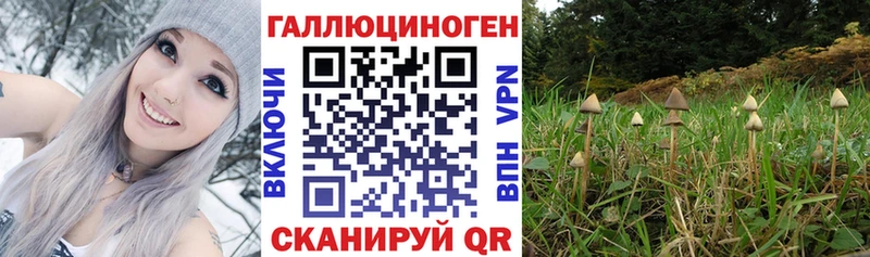 Галлюциногенные грибы прущие грибы  Аргун 